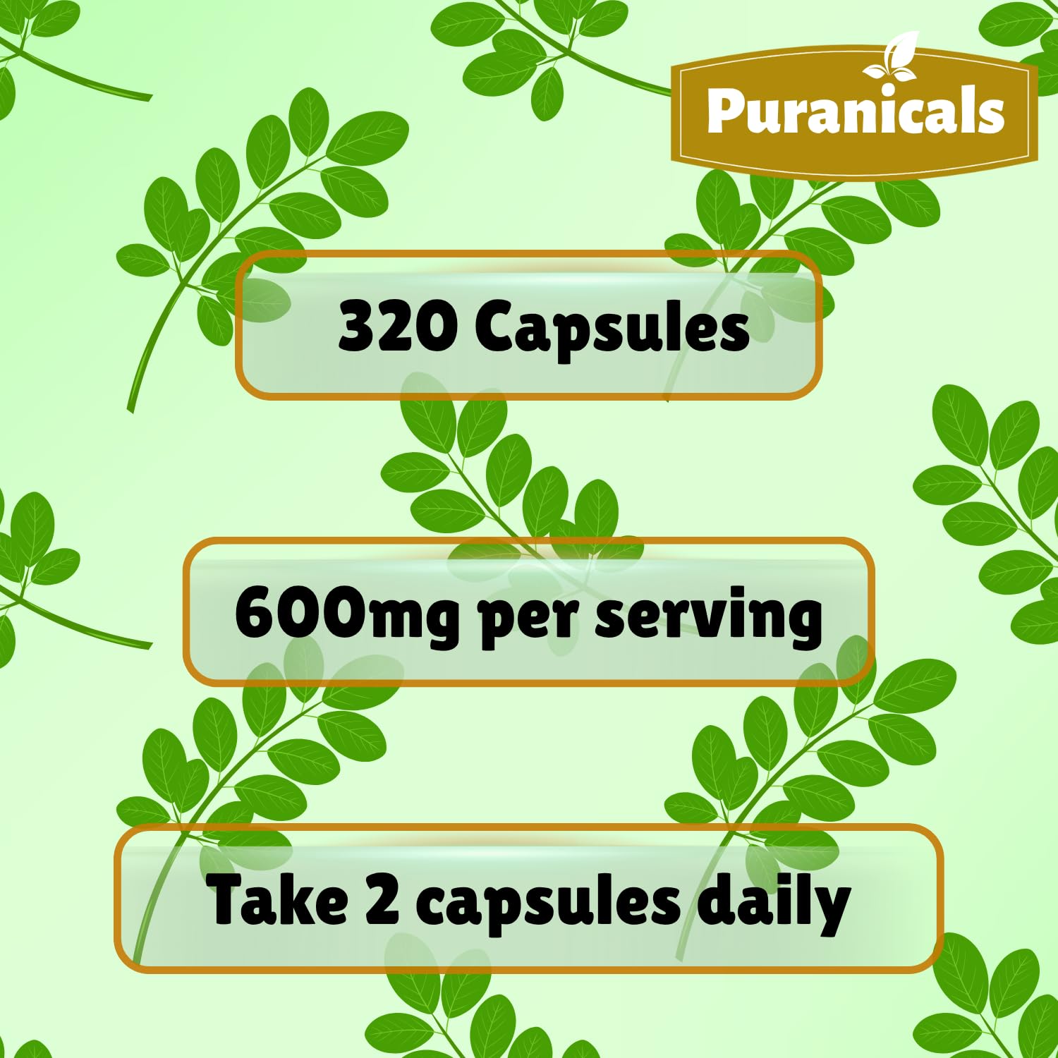 Cápsulas de Puranicals Moringa Premium visibles en la palma.