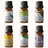 Pure Aroma: aceite esencial de árbol de té en frasco, uso versátil para limpieza suave