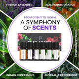 Pure Aroma: aceite esencial de naranja dulce en frasco, aroma cálido para ambientar