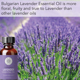 Gotero de Pure Body Naturals Lavanda Bulgaria para diluir y aplicar en la piel.