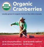 PURE CO arándanos cultivados en EE. UU. y Canadá.