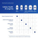Pure Encapsulations NAC 600 mg, cápsulas en estante, rutina diaria posible