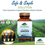 Pure Mountain Botanicals cápsulas sin aditivos con jengibre natural
