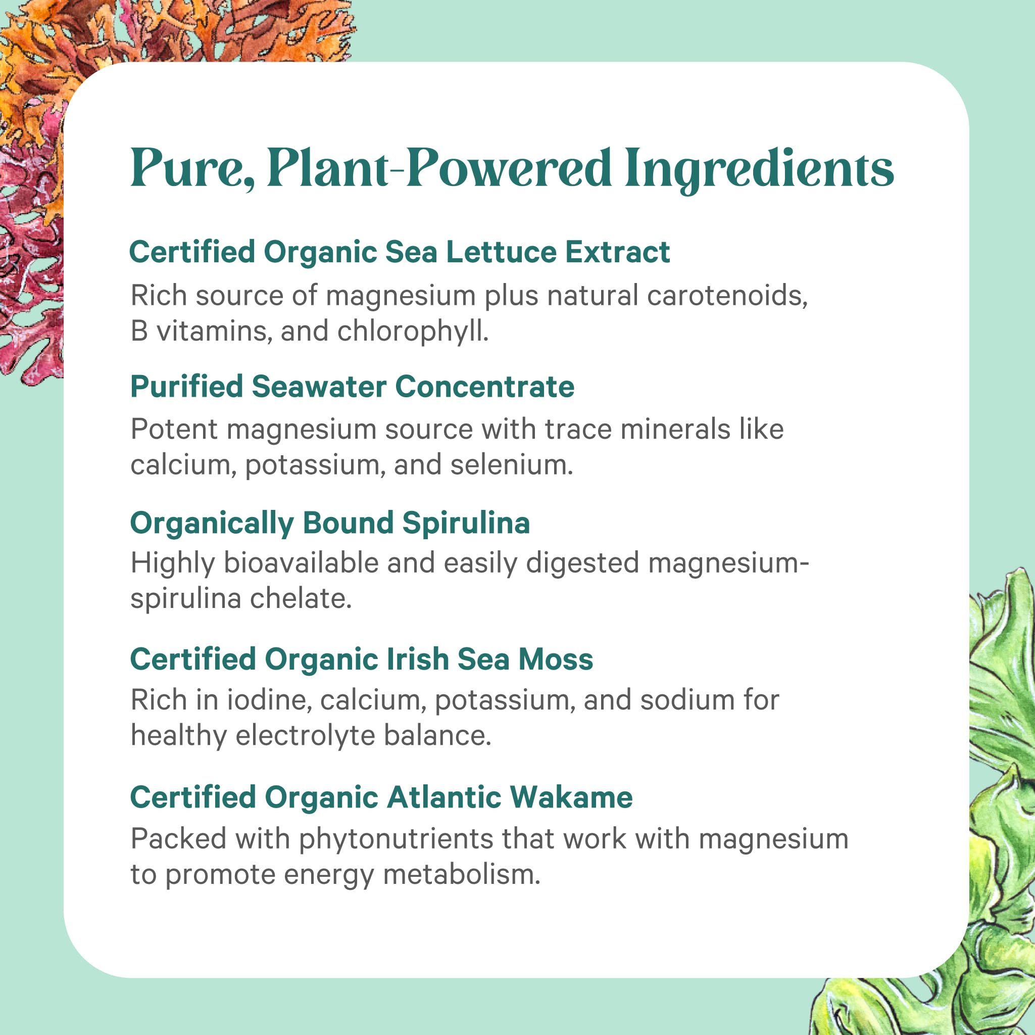 Pure Synergy Capsulas en mano: dosis diaria fácil