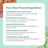 Pure Synergy Capsulas en mano: dosis diaria fácil