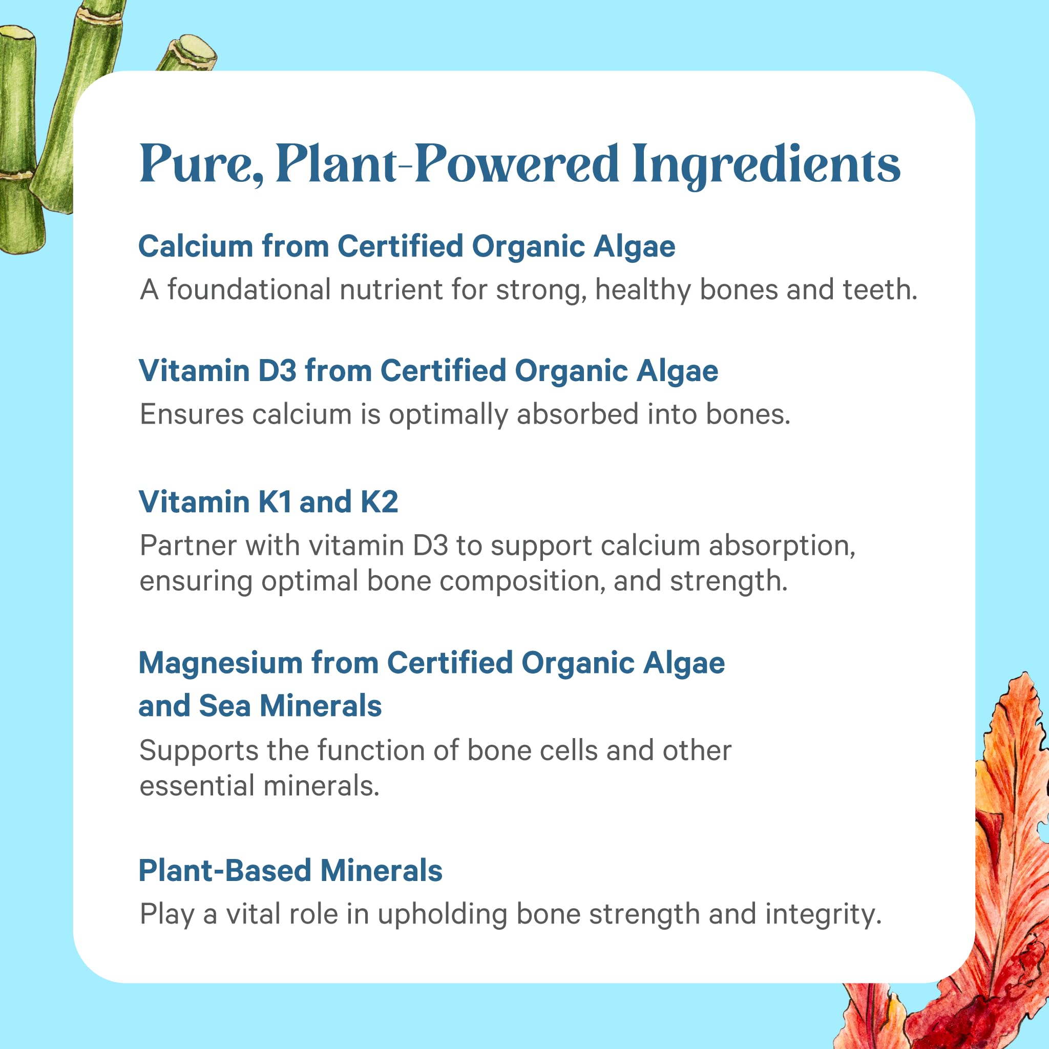 PURE SYNERGY Renovación Ósea: calcio bio-disponible para absorción eficiente