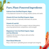PURE SYNERGY Renovación Ósea: calcio bio-disponible para absorción eficiente