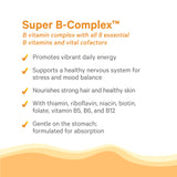 PURE SYNERGY Super B-Complex: cofactors que favorecen la absorción.