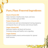 PURE SYNERGY Super B-Complex: uso diario recomendado para energía y enfoque.