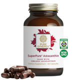 PURE SYNERGY SuperPure Astaxantina, botella elegante para uso diario con soporte antioxidante.