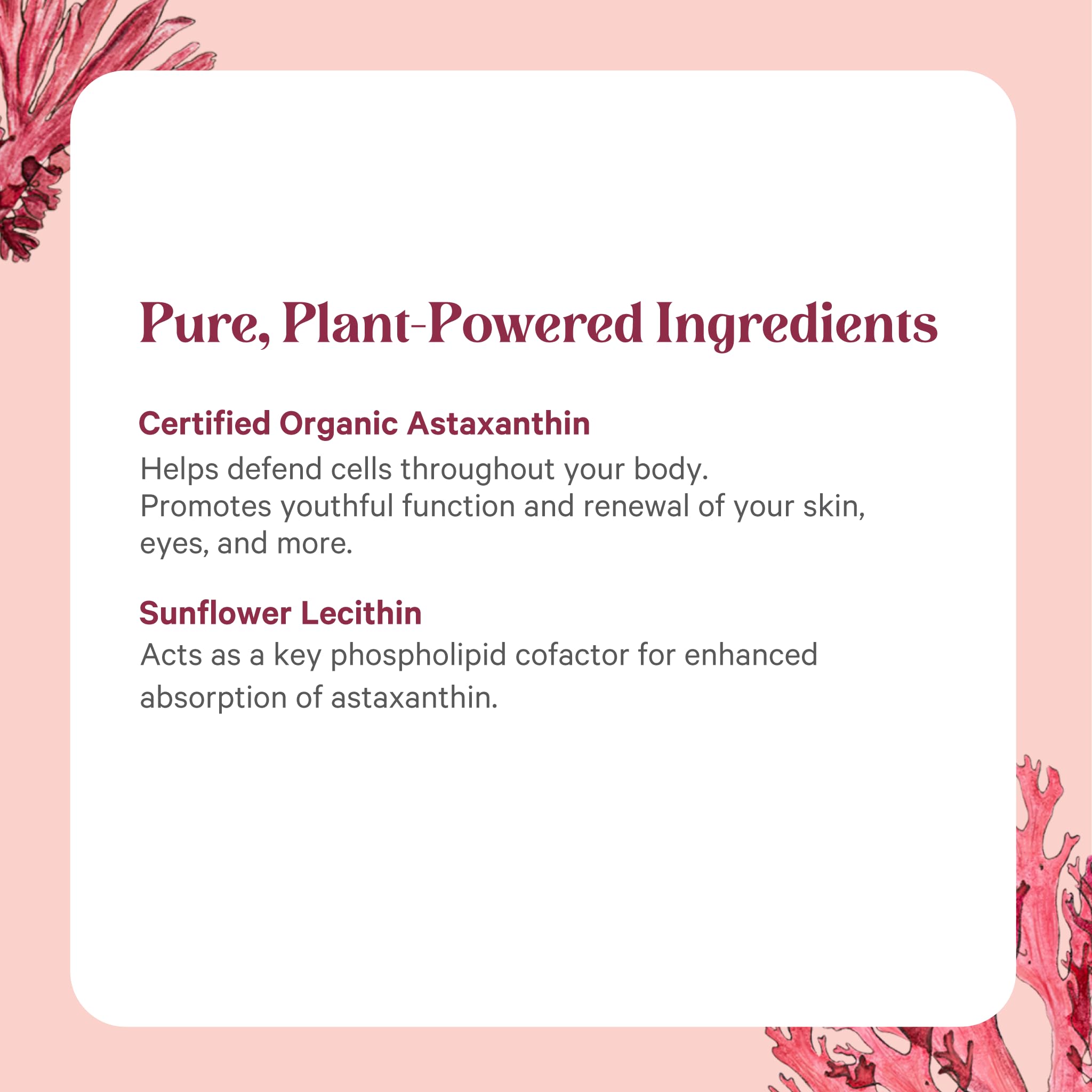 Envase de vidrio sellado que mantiene la pureza y calidad del producto.