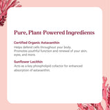 Envase de vidrio sellado que mantiene la pureza y calidad del producto.