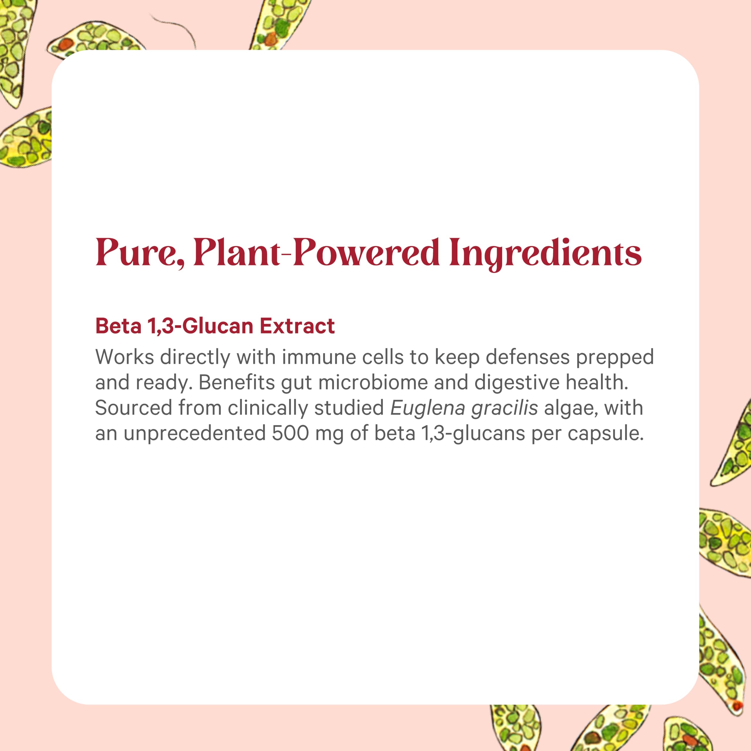 PURE SYNERGY SuperPure uso diario para equilibrio digestivo