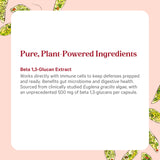 PURE SYNERGY SuperPure uso diario para equilibrio digestivo
