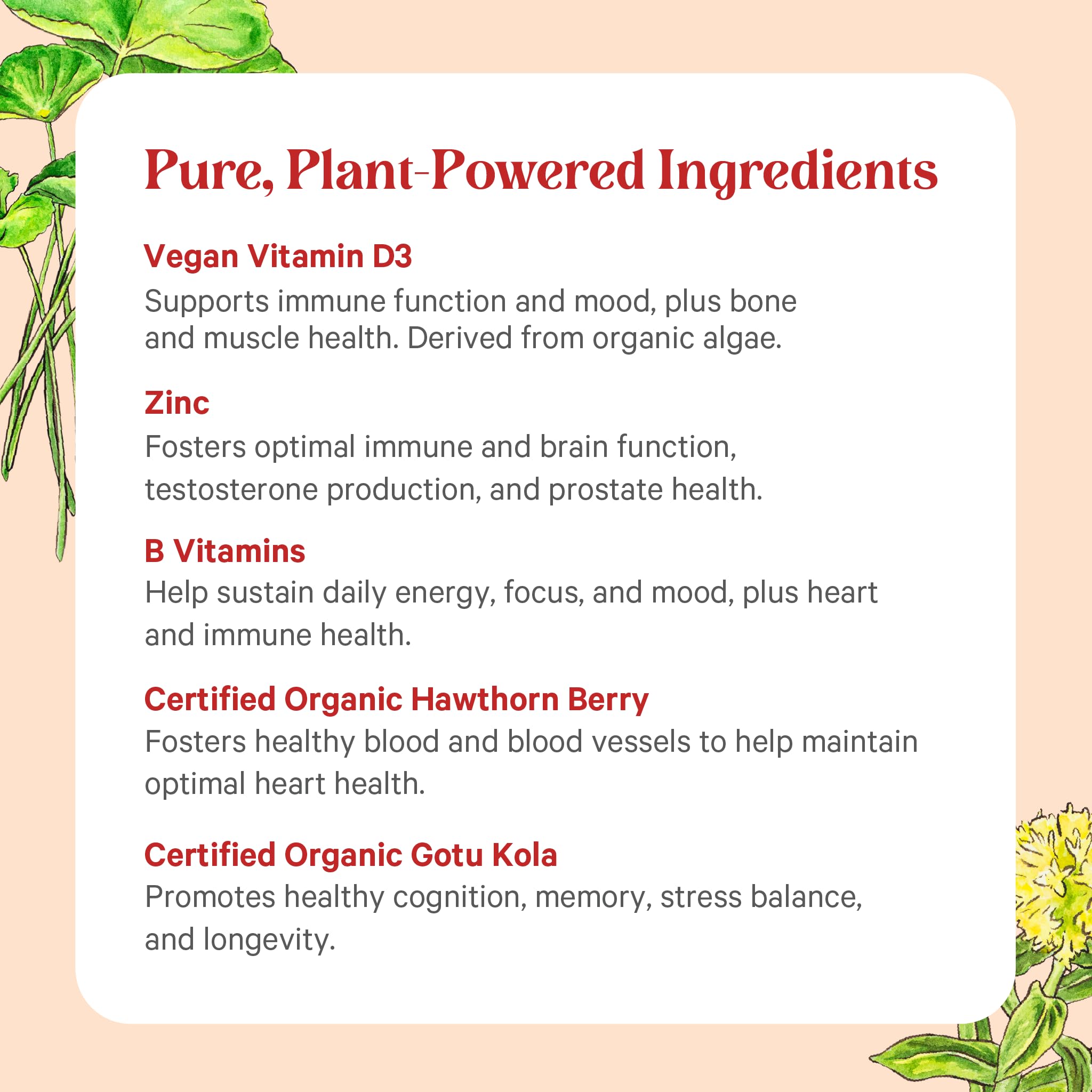 PURE SYNERGY Vita·Min·Herb para Hombre: caja de presentación para uso diario.