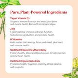 PURE SYNERGY Vita·Min·Herb para Hombre: caja de presentación para uso diario.