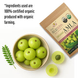 Cuidado capilar con polvo amla PureAyurbliss para cabello fuerte.
