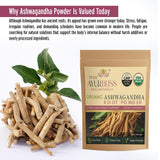PureAyurbliss envase transparente Ashwagandha, almacenamiento cómodo y protegido
