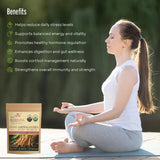 PureAyurbliss textura suave de Ashwagandha en polvo, ideal para batidos