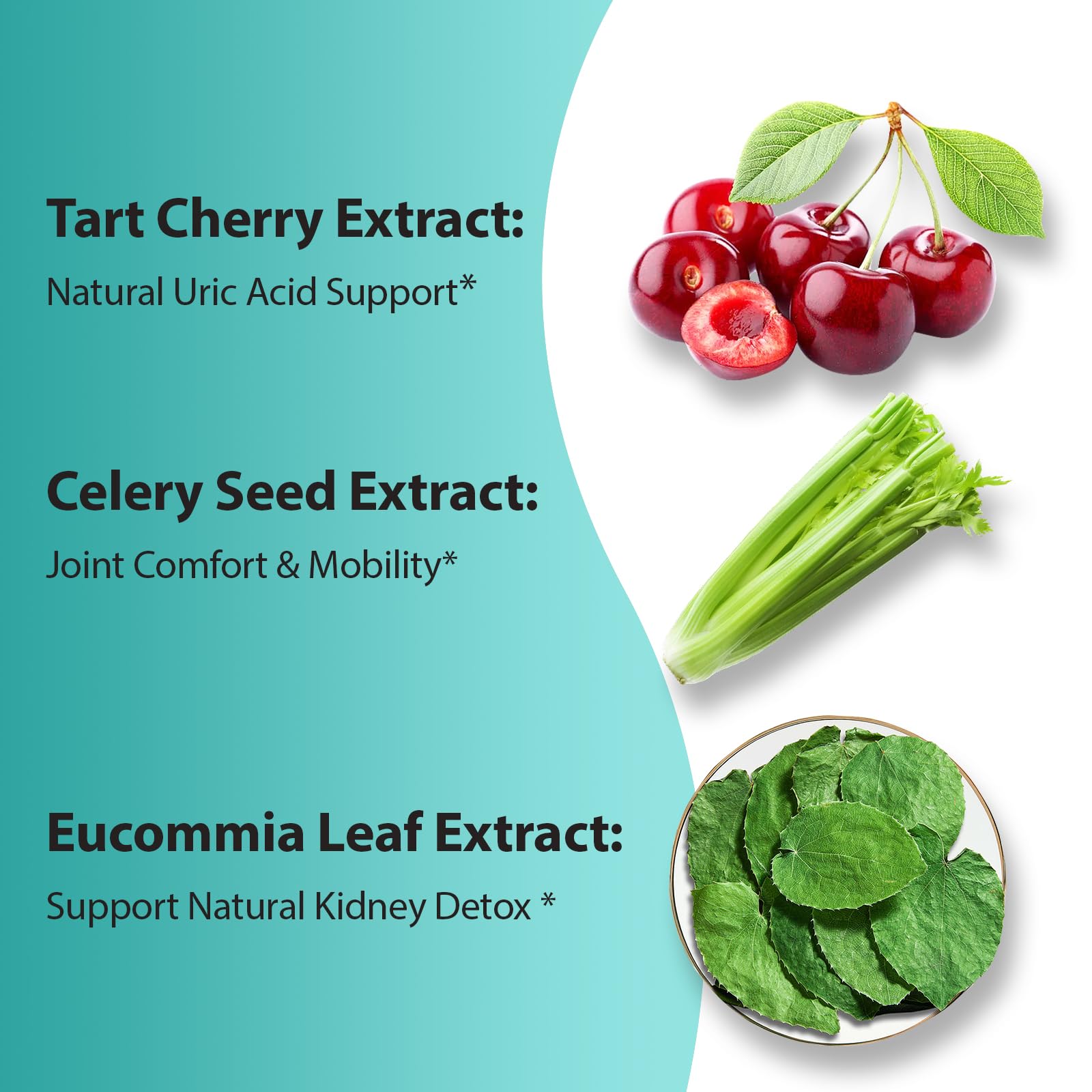 Extracto de hoja de Eucommia patentado en PureBotan Purga con antioxidantes.