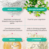 PUREHEALTH RESEARCH Ageless Brain con bacopa monnieri para claridad mental y memoria.