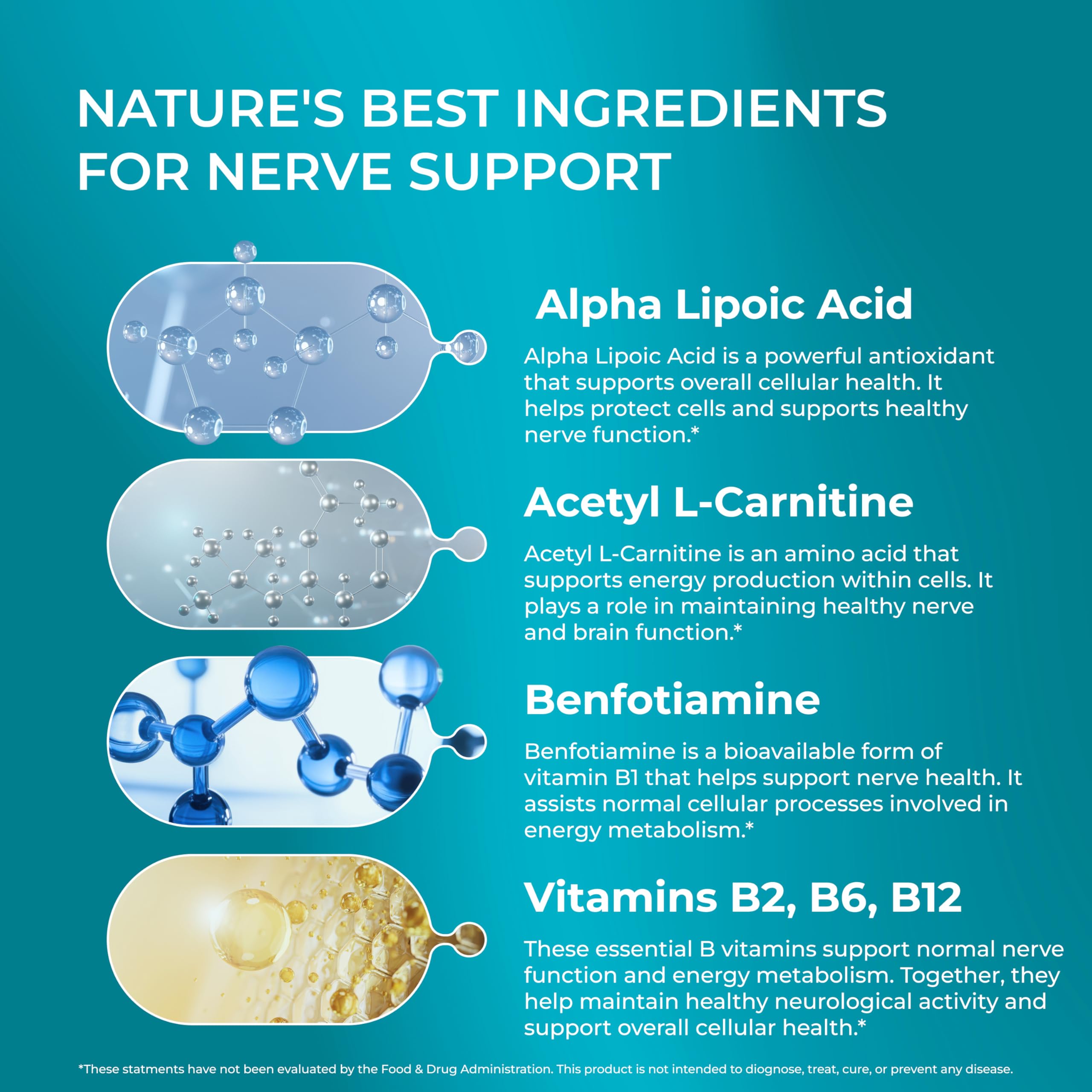 PUREHEALTH RESEARCH Acetil L-Carnitina: energía celular para nervios
