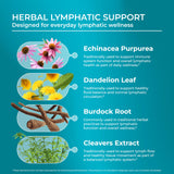 Bardana raíz PUREHEALTH RESEARCH para limpieza natural