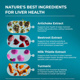 PureHealth Research Curcuma: antioxidantes potentes para la salud celular