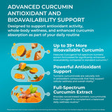 PureHealth Research Curcumin Extract cápsulas en mano muestran tamaño de dosis.