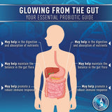 Purely Optimal Probiotics: cápsulas que respaldan inmunidad y energía diaria.