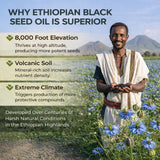 Origen etiopico de PURELYNUTRIENT con semilla negra destacada.