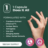 PurePremium Uso diario – formato práctico para rutina de cuidado renal.