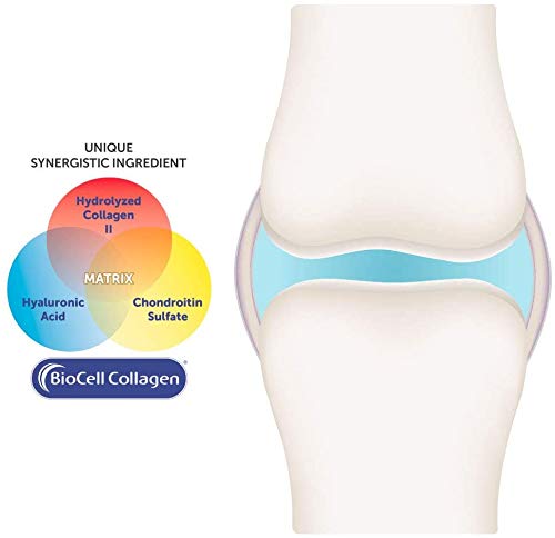 Purity Products HA Joint Formula: caja para almacenamiento y uso diario