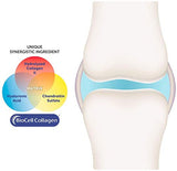 Purity Products HA Joint Formula: caja para almacenamiento y uso diario