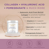 Purity Products Hylastra Gold, etiqueta frontal clara con beneficios de hidratación y elasticidad.