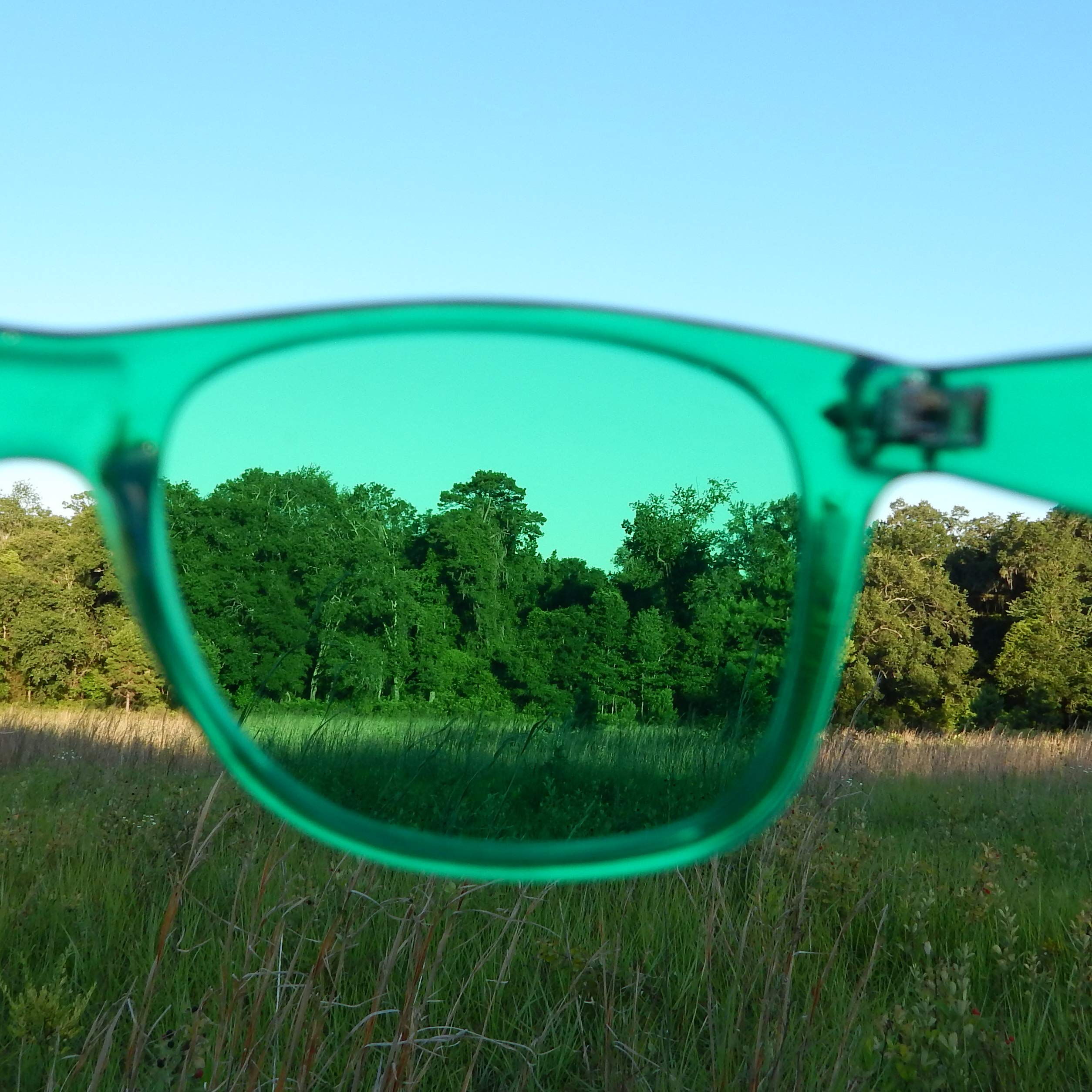 PURPLE CANYON gafas verdes para uso diario y alivio ocular