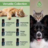 Pursonic cedro, aceite para mascotas, aroma calmante para uso diario.