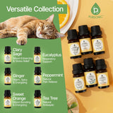 Pursonic mezcla eucalipto aroma fresco para espacios