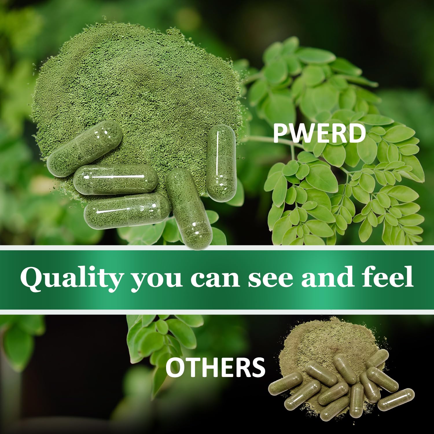 PWERD Moringa: cápsulas en estilo de vida activo y balance diario.