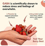 Ingredientes clave L-Theanine y GABA en PYM Berry Mood Chews para relajación.