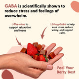 GABA y L-teanina en Berry Mood Chews, enfoque suave para la concentración diaria.