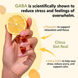 Gomitas PYM Health Citrus muestran ingredientes clave para la relajación.
