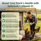 Qanoreth selenio y vitamina E en polvo, medidor incluido para dosificar