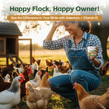 Qanoreth polvo diario para gallinas, uso sencillo en la rutina de alimentación