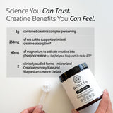 Qualia Creatine: enfoque cerebral para claridad mental y resistencia