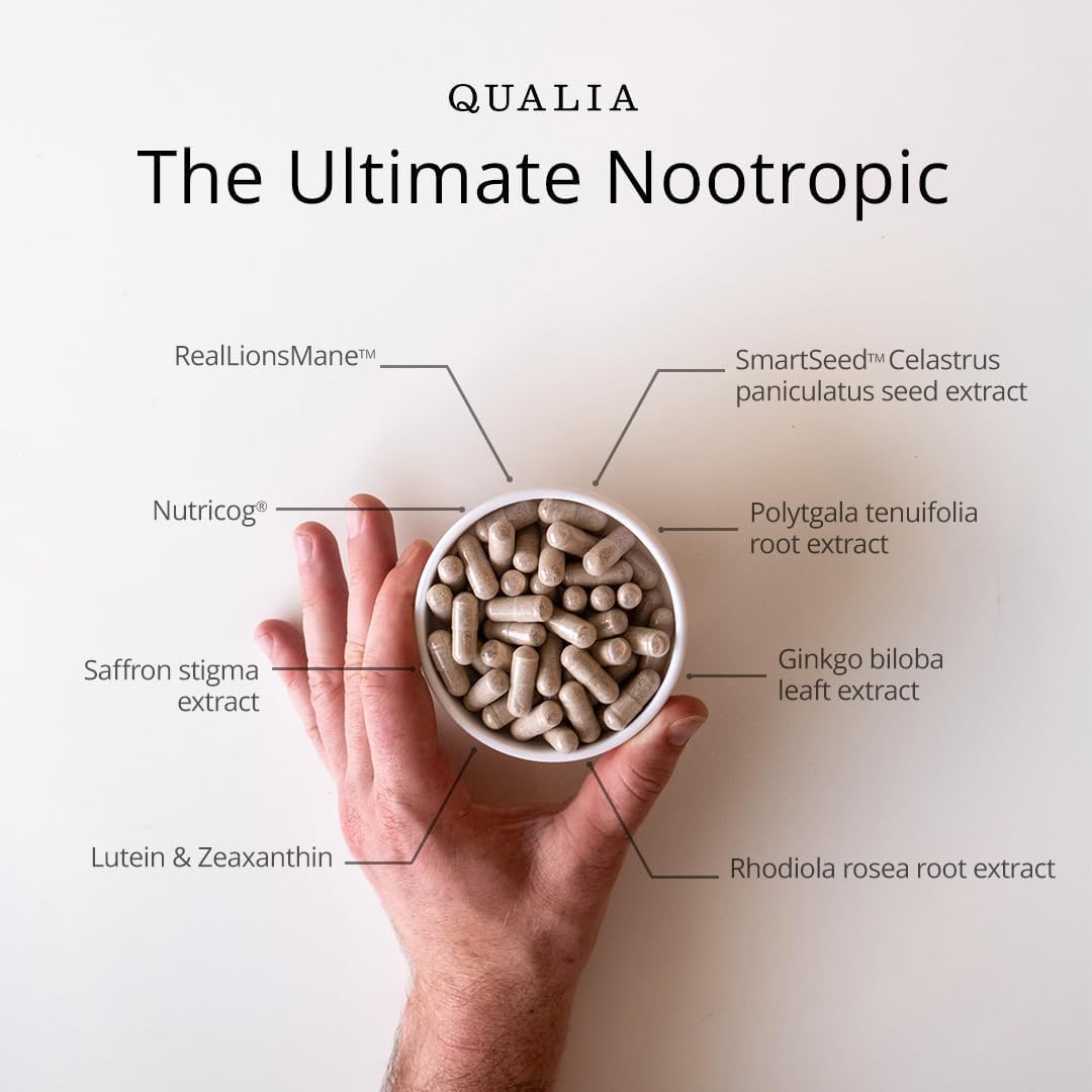 Qualia Mind: entorno de trabajo optimizado para rendimiento cognitivo.