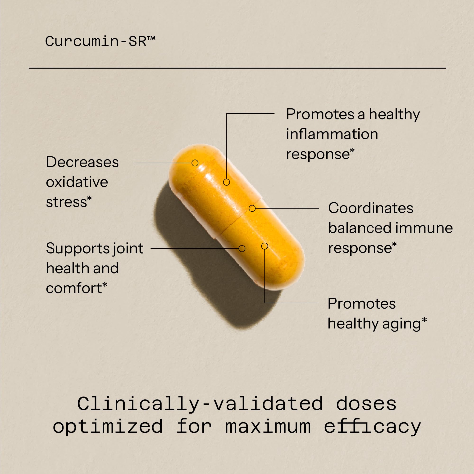 Quality of Life Curcumin-SR, relleno lento de liberación para biodisponibilidad.