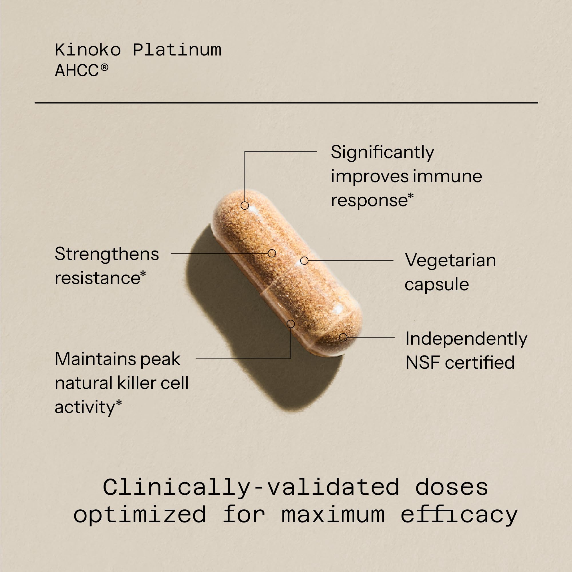 Extracto AHCC con alfa glucanos de Kinoko Platinum