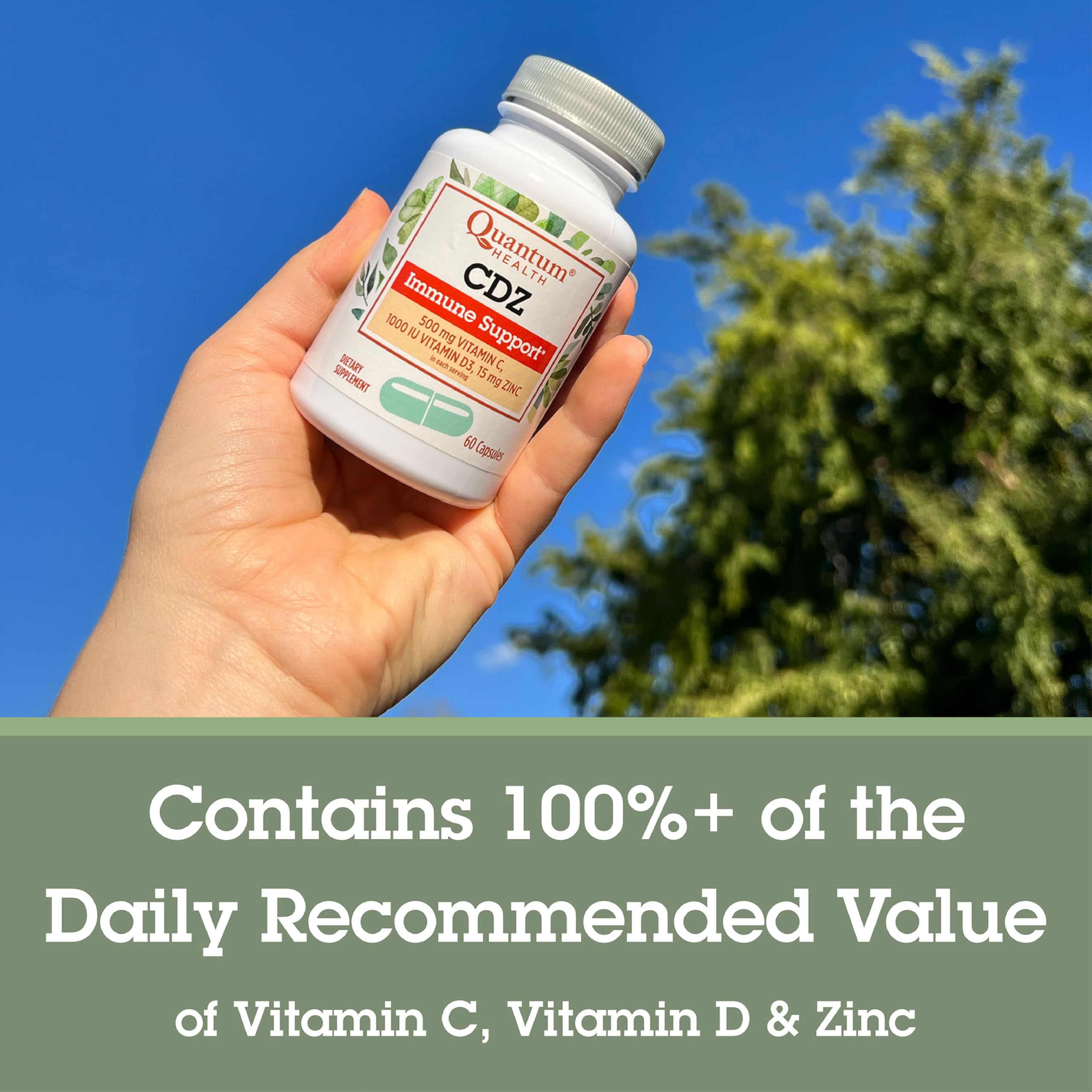 Quantum ajo desodorizado echinacea cápsula antioxidante
