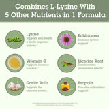 Quantum Super Lisina+ echinacea para inicio de reto inmune.